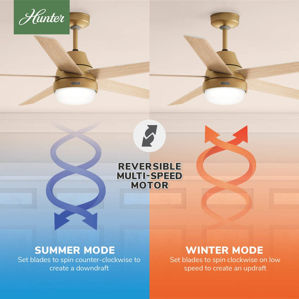 53783_10_aerodyne_indoor_smart_fan_energy_star_with_led_and_reversible_blades_and_remote_60_inch-luxe_gold-reversible_motor_graphic_-_english