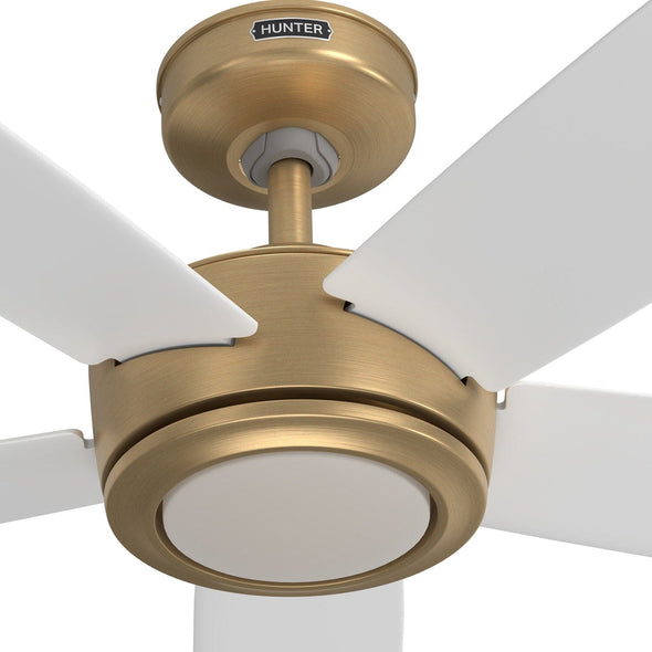 55163_17 zavia indoor smart with led light 60 inch with remote luxe gold fanbody