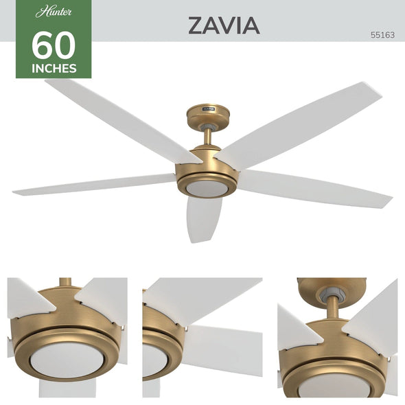 55163_4 zavia indoor smart with led light 60 inch with remote luxe gold detailboard