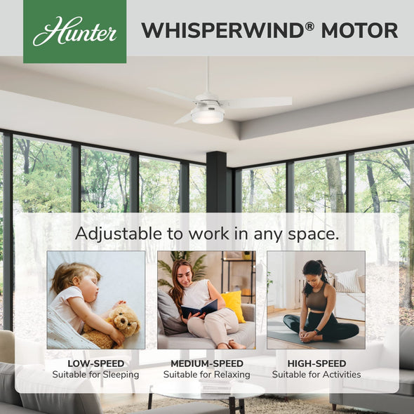 59169_31_sentinel_with_led_light_52_inch-fresh_white-whisperwindmotorgraphic