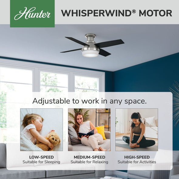 59243_31_dempsey_low_profile_with_light_44_inch-brushed_nickel-whisperwindmotorgraphic