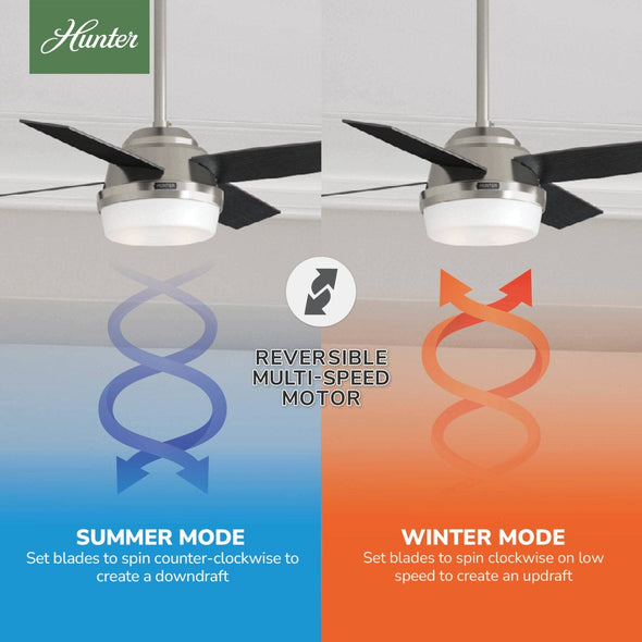 59245_10_dempsey_with_light_44_inch-brushed_nickel-reversible_motor_graphic_-_english