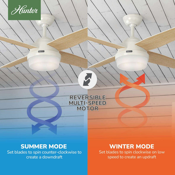 59246_10_dempsey_with_light_44_inch-fresh_white-reversible_motor_graphic_-_english