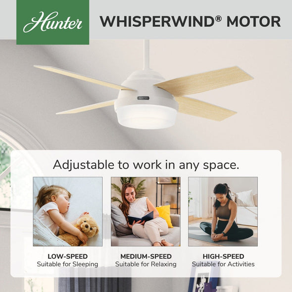 59246_31_dempsey_with_light_44_inch-fresh_white-whisperwindmotorgraphic