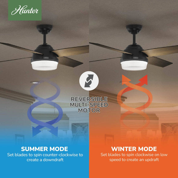 59251_10_dempsey_outdoor_with_light_52_inch-matte_black-reversible_motor_graphic_-_english