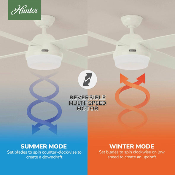 59252_10_dempsey_outdoor_with_light_52_inch-fresh_white-reversible_motor_graphic_-_english