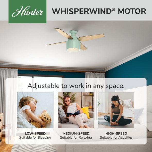 59260_31_cranbrook_low_profile_with_light_52_inch-mint-whisperwindmotorgraphic