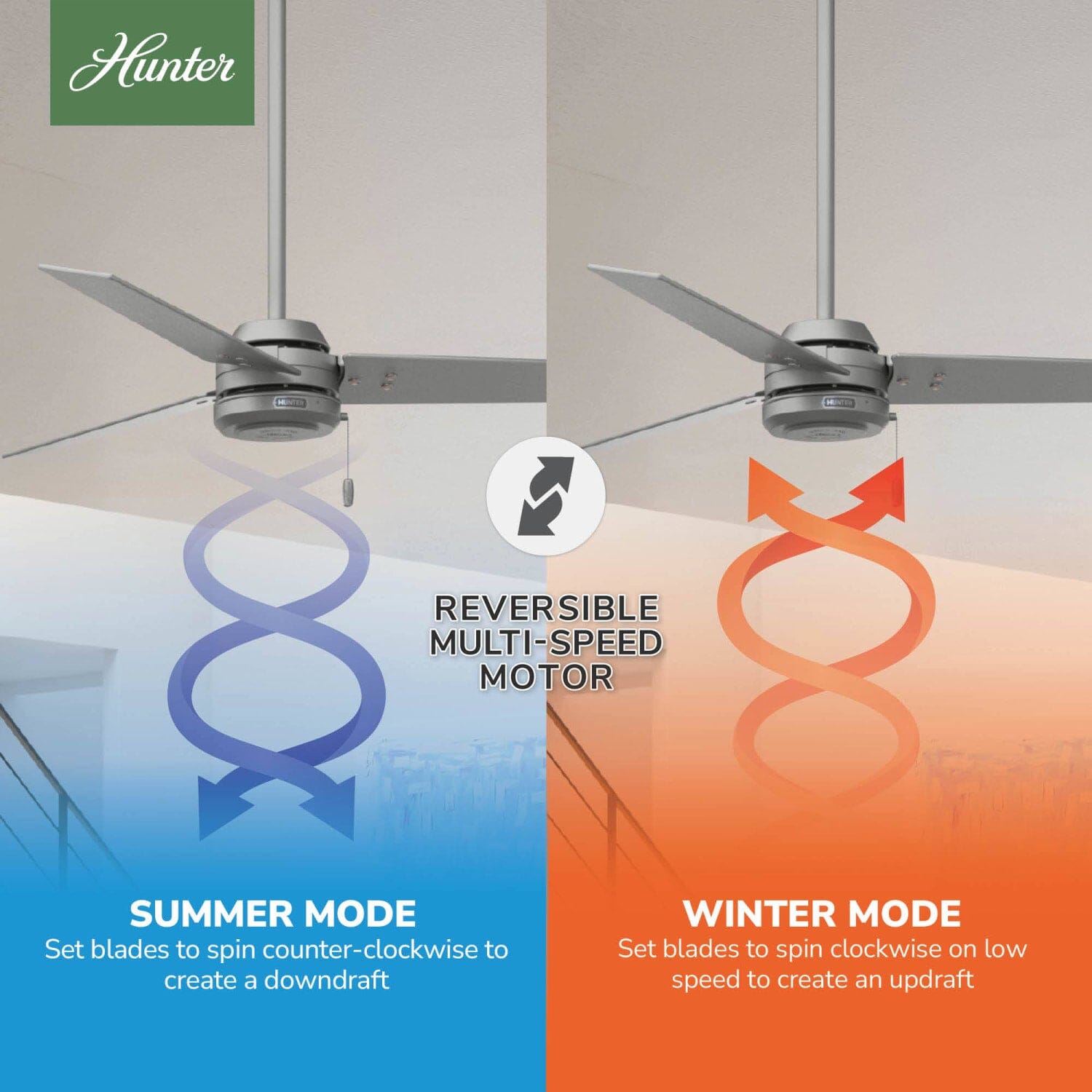 Hunter Cassius Outdoor 52 inch – Hunter Fan