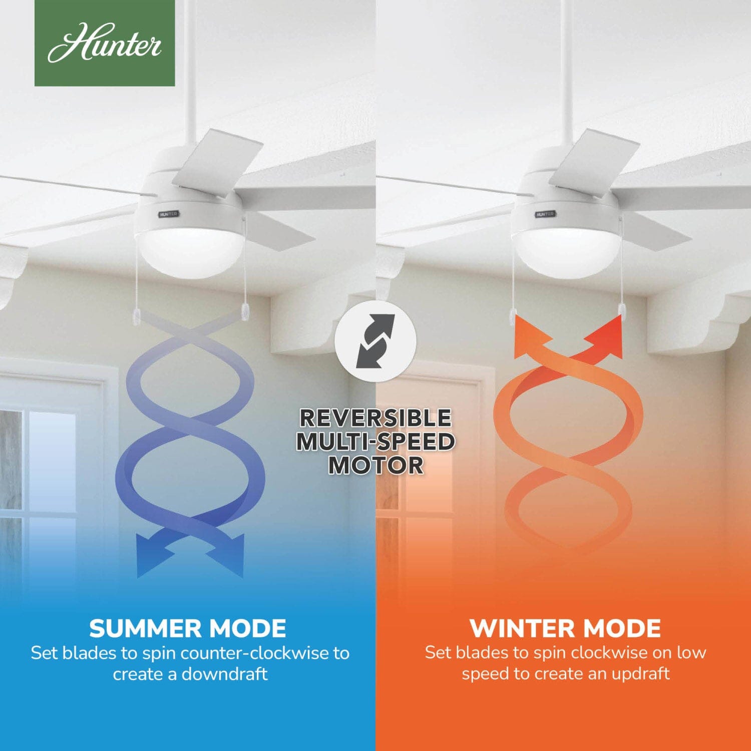 Hunter Anslee with LED Light 46 inch – Hunter Fan