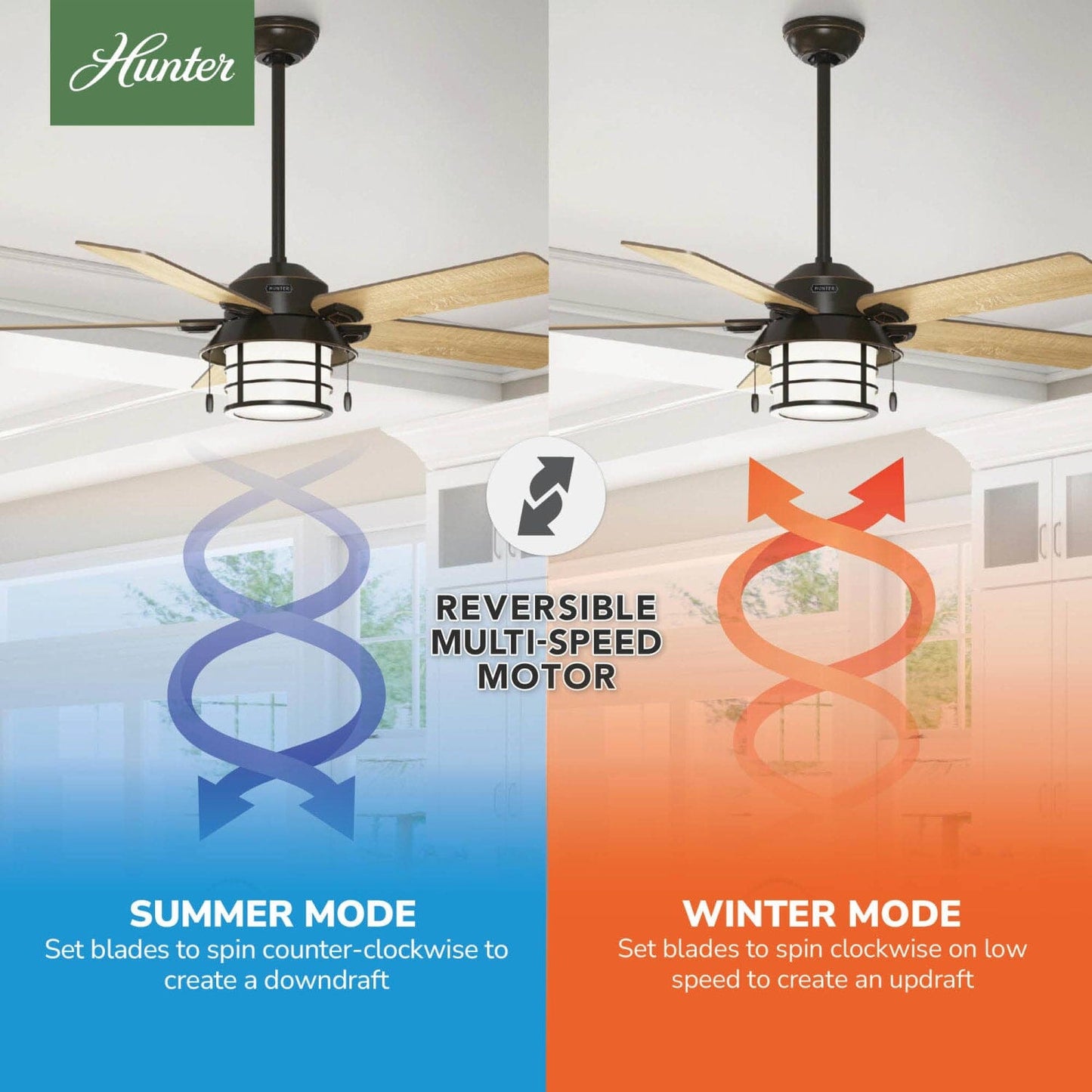 59273_10_key_biscayne_outdoor_with_light_54_inch-onyx_bengal-reversible_motor_graphic_-_english