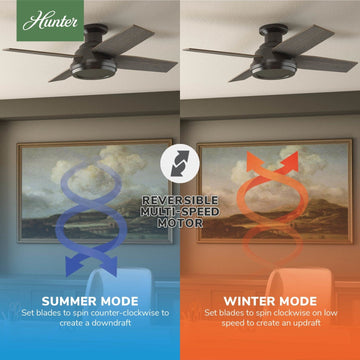 59336_10_dempsey_low_profile_44_inch_with_remote-noble_bronze-reversible_motor_graphic_-_english