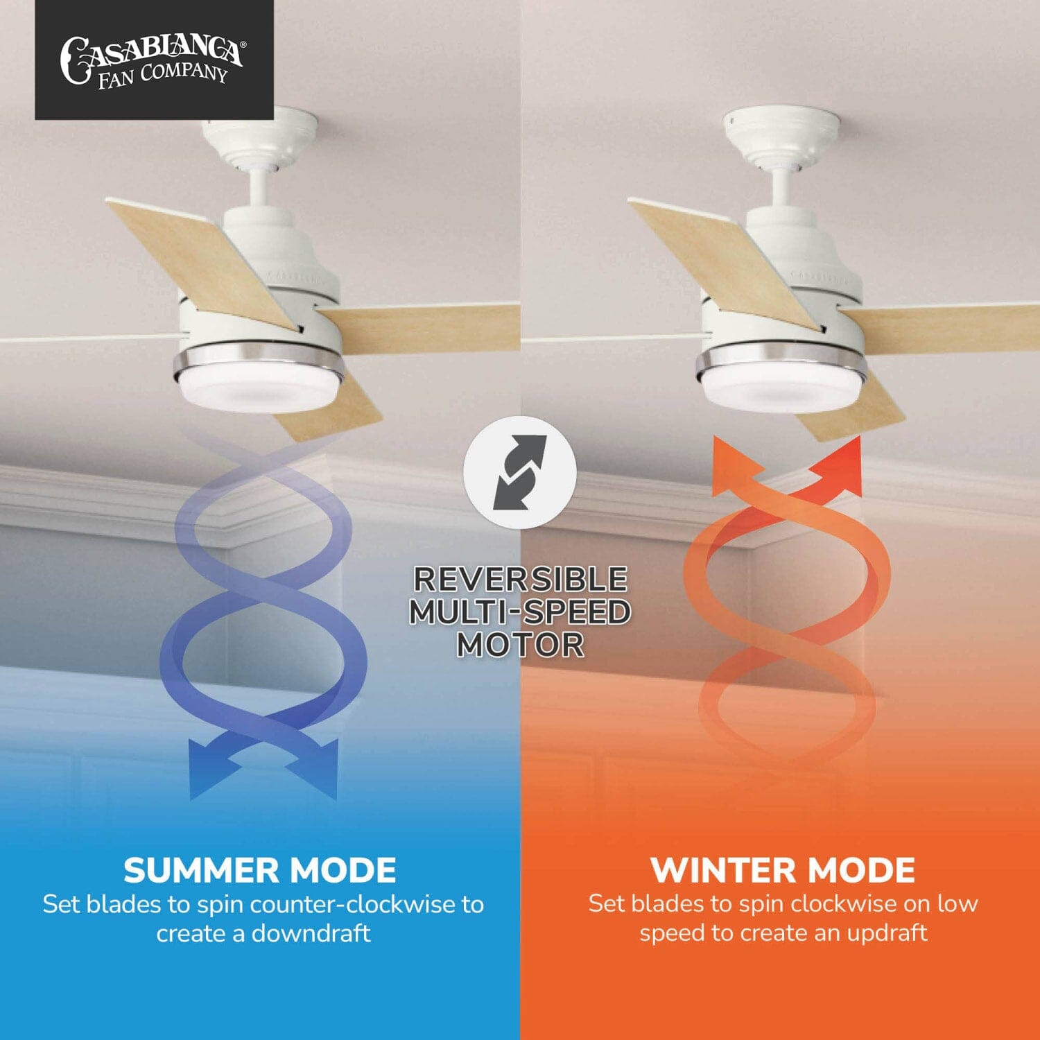 59413_10_daphne_with_led_light_54_inch-fresh_white-reversible_motor_graphic_-_english