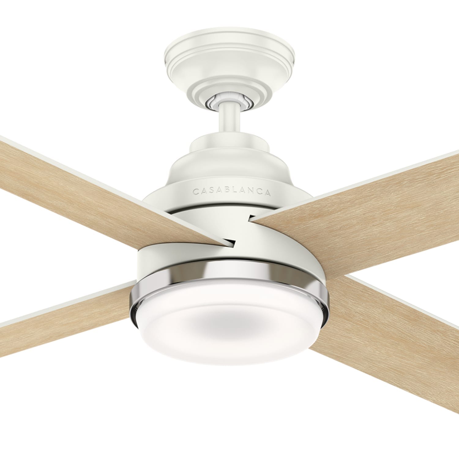Casablanca Daphne with LED Light 54 inch and Wall Control – Hunter Fan
