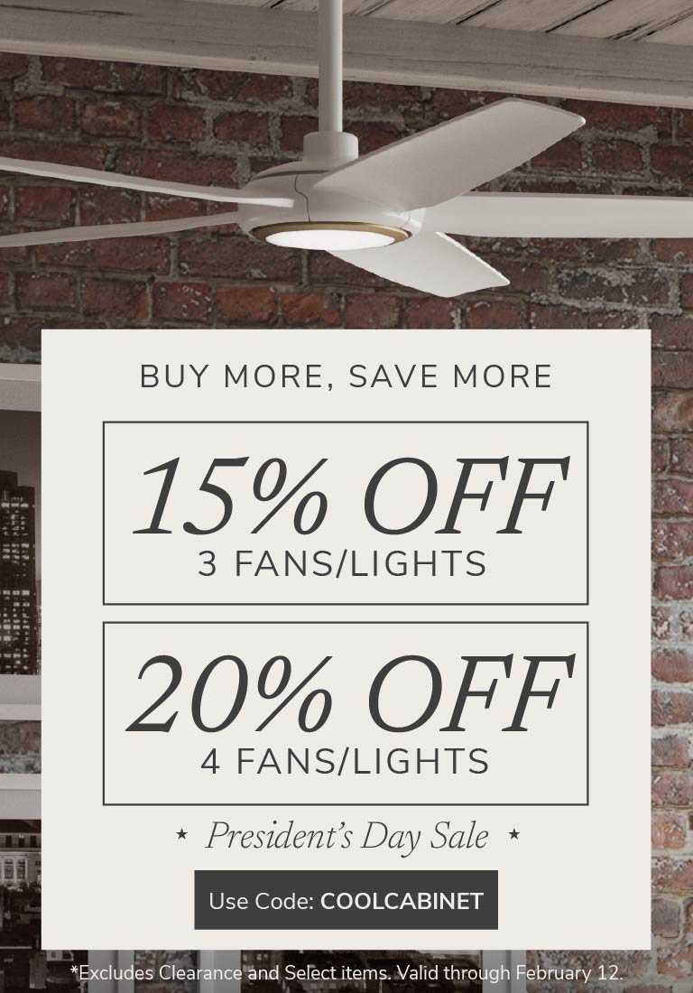 Buy More, Save More. President's Day Sale. Use code: COOLCABINET through February 12th.