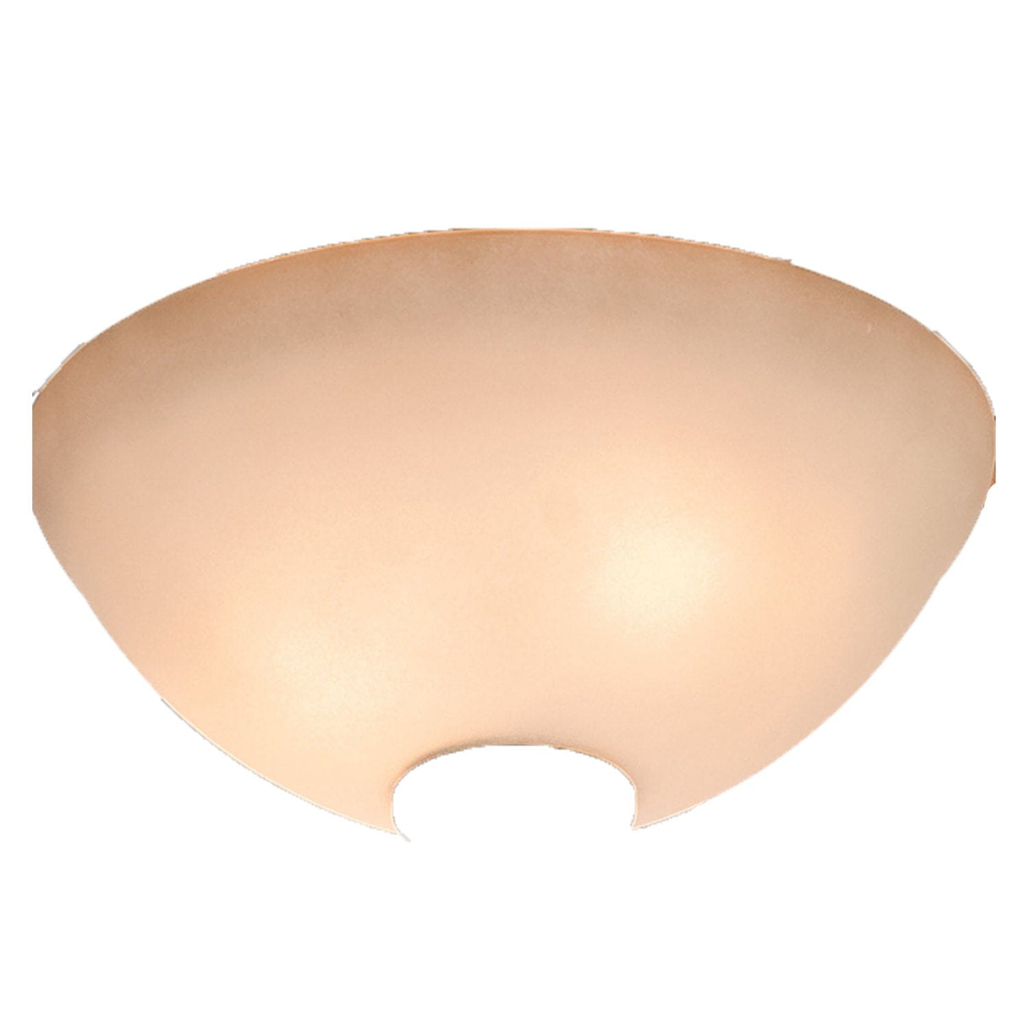 Glass Globe-Tea Stain - K055601176 Service Parts Hunter 