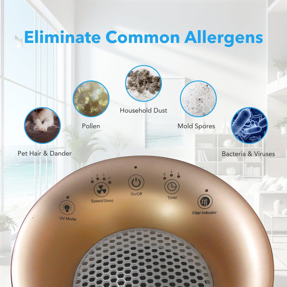 Hunter Fan HP450UV True HEPA UVC Light Technology Air Purifier Collective Hunter Pure Air 