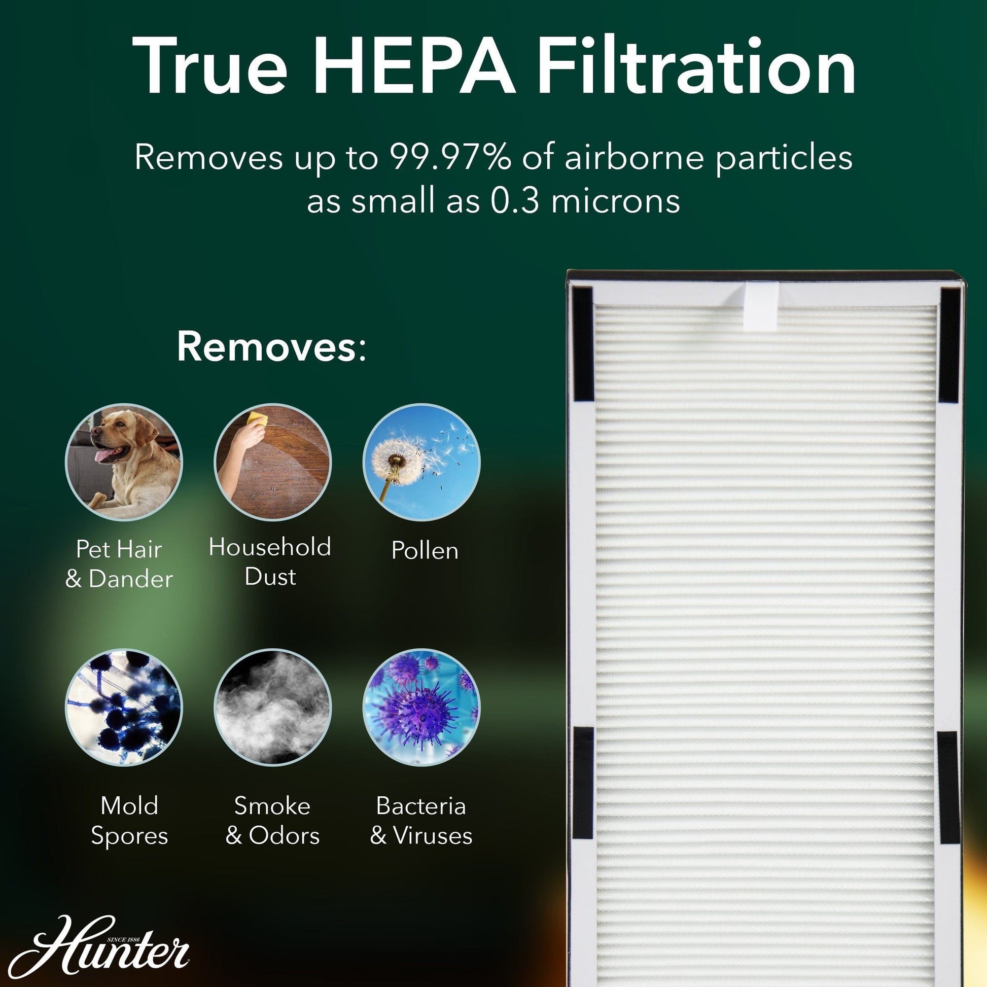 HP600 Tall Tower Air Purifier Service Parts Hunter Pure Air 