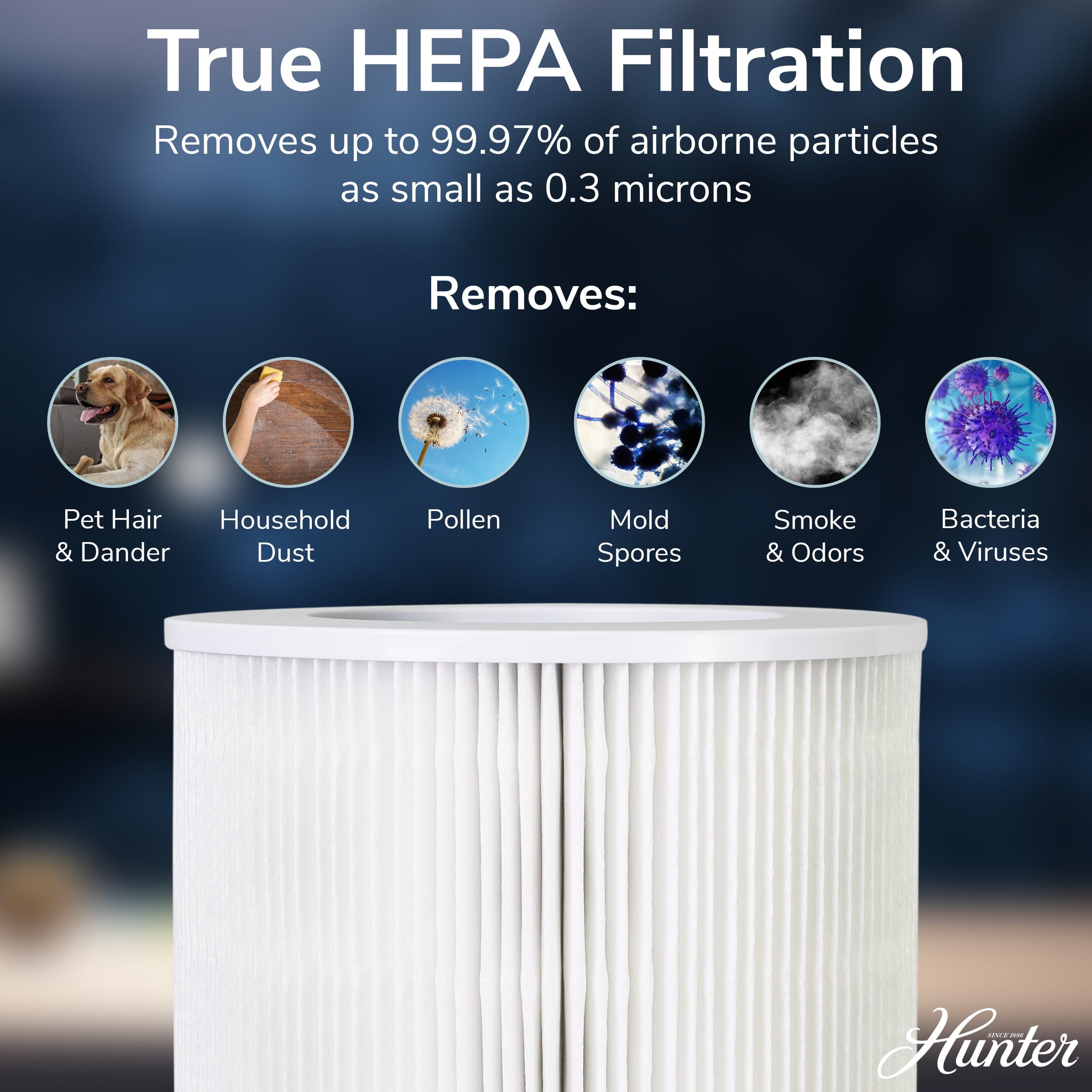 Replacement hepa filter for hunter air purifier hotsell