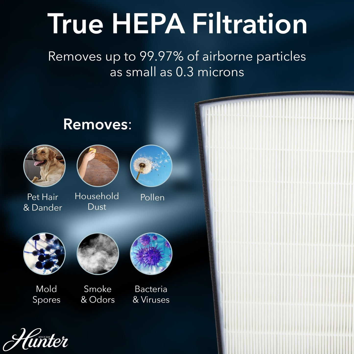 HP800 Multi-Room Large Console Air Purifier Collective Hunter Pure Air 