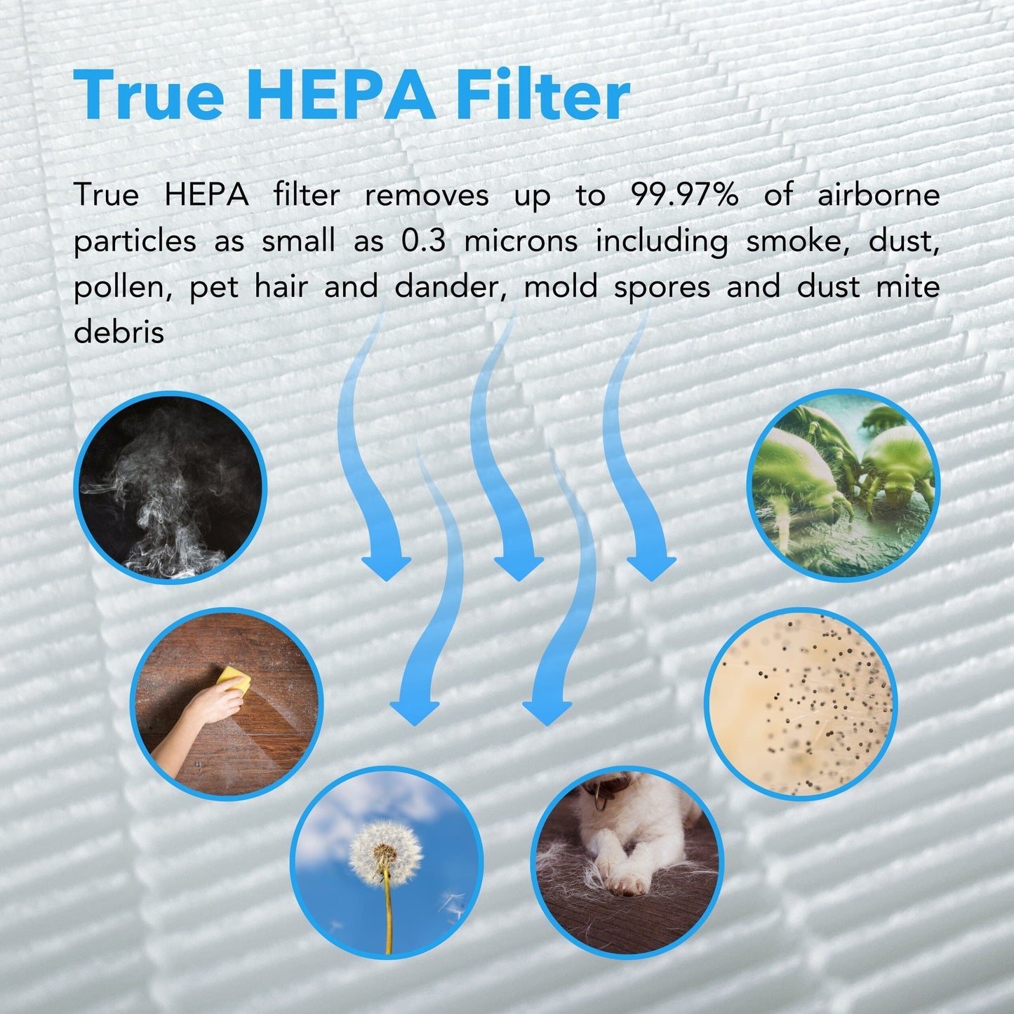AirMax Whole Home Industrial Strength Air Purifier HP980 Collective Hunter Pure Air 