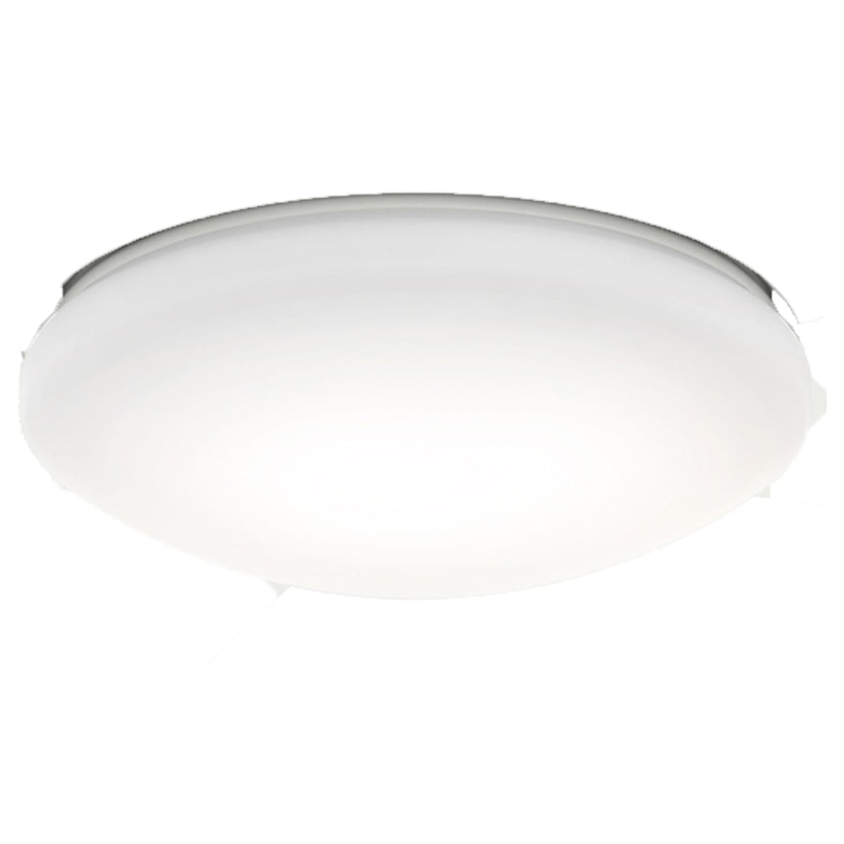 k181001045_1 glass globe painted white cased  main