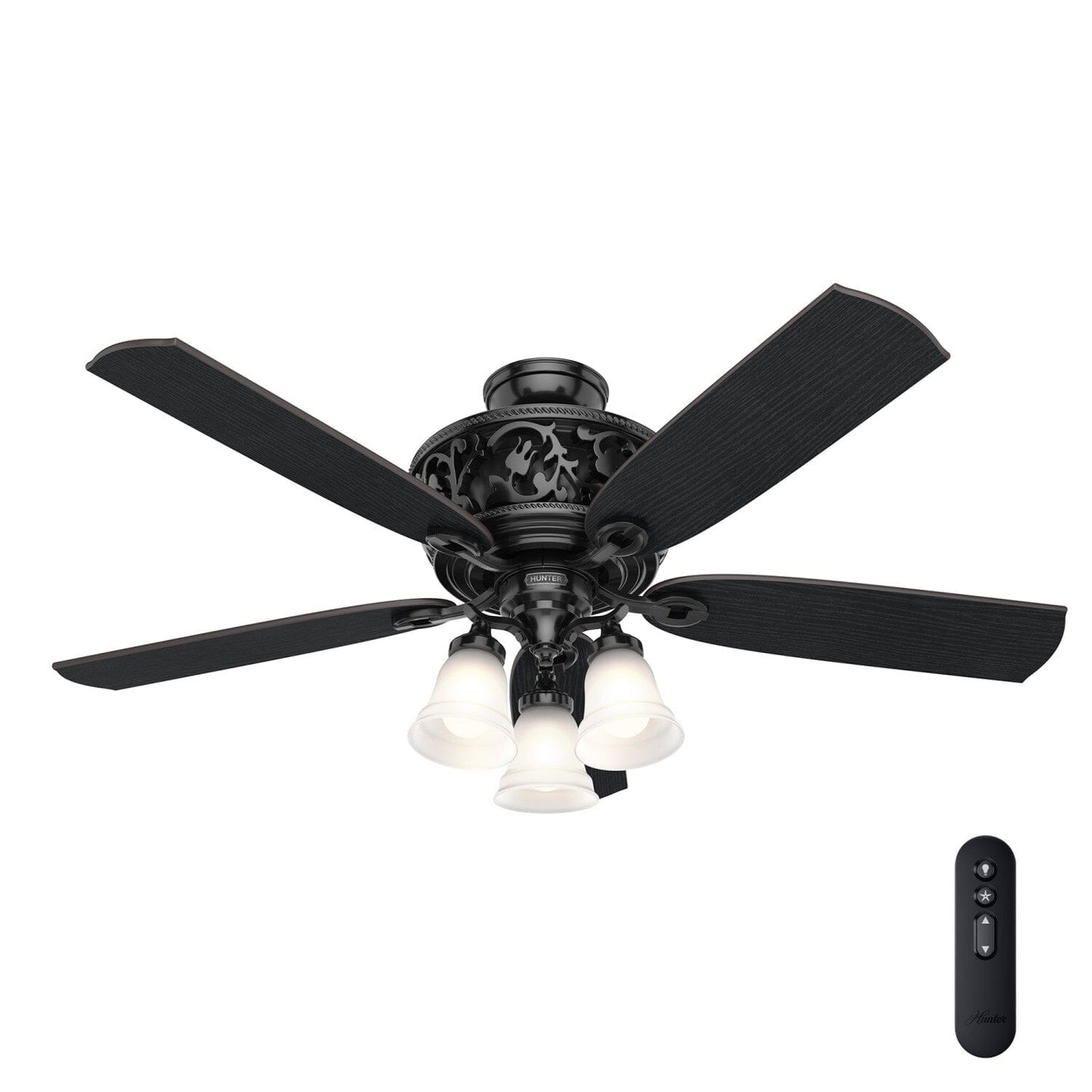 Promenade ENERGY STAR with 3 Lights 54 inch with Remote Ceiling Fans Hunter Gloss Black - Black Oak 