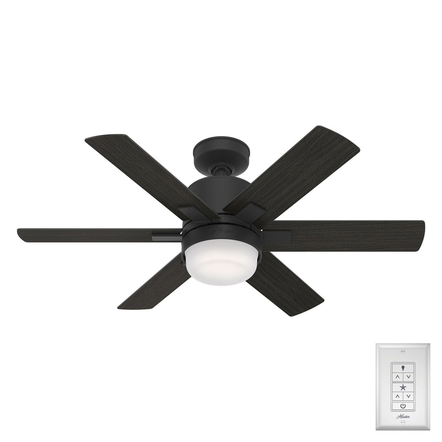 Radeon Smart fan with LED Light 44 Inch Ceiling Fans Hunter Matte Black - Black Walnut 