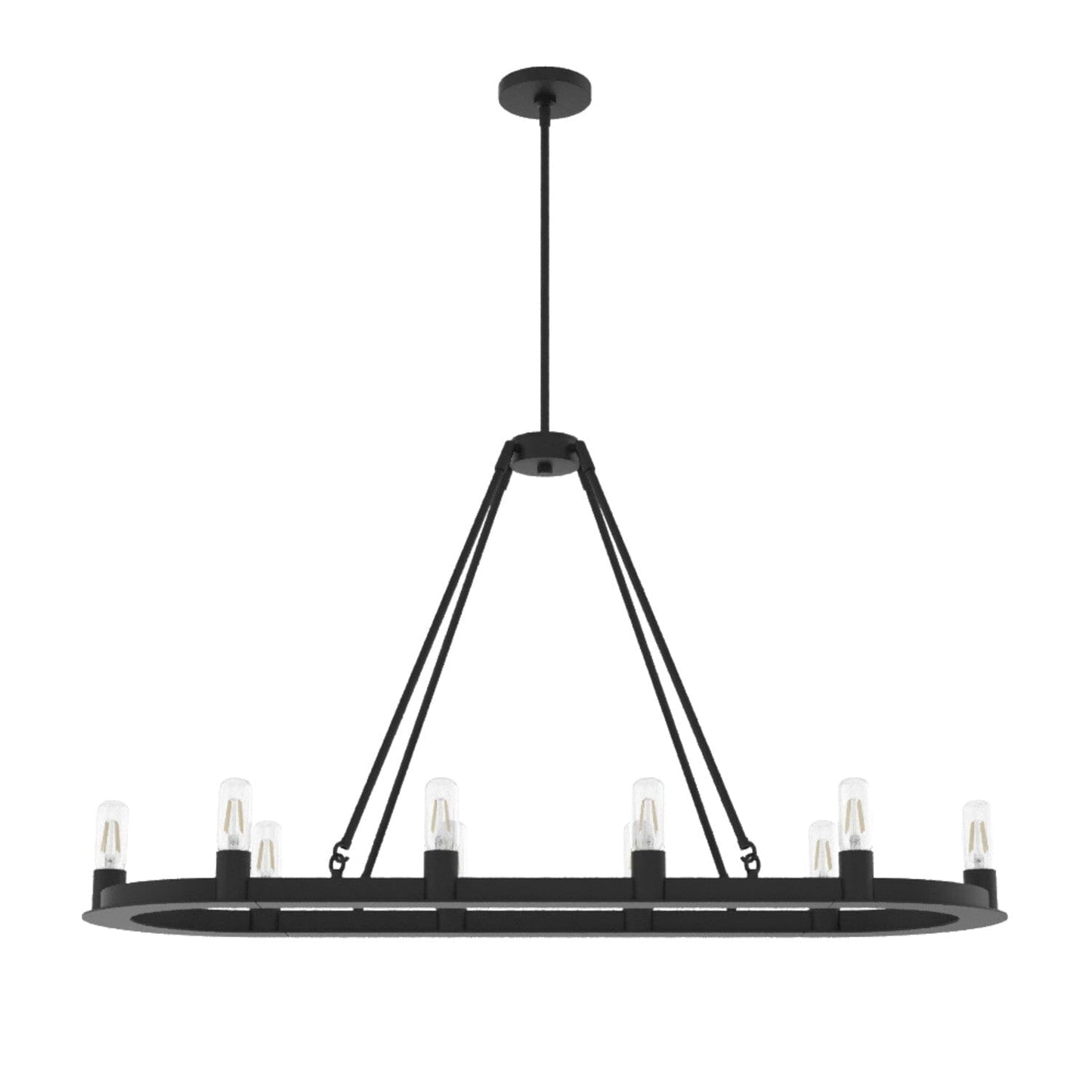 Saddlewood 10 Light Chandelier Lighting Hunter Natural Black Iron - None 