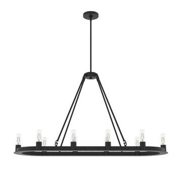 Saddlewood 10 Light Chandelier Lighting Hunter Natural Black Iron - None 